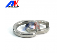 LONG ĐỀN VÊNH INOX 316